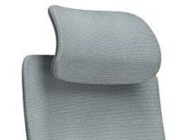 Voorzien van Hoofdsteun 