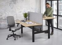Duo bench elektrisch verstelbaar 160x80cm Professional