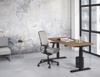 Zit/sta Premium elektrisch 160x80cm