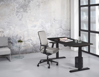 Zit/sta Premium elektrisch 160x80cm