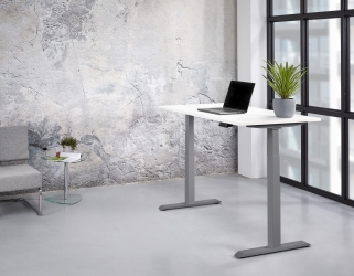 Zit/sta Premium elektrisch 160x80cm