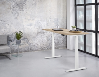 Zit/sta Premium elektrisch 160x80cm
