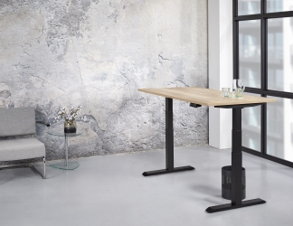 Zit/sta Premium elektrisch 160x80cm