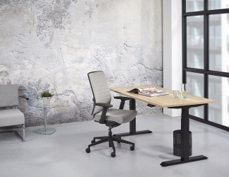 Zit/sta Premium elektrisch 160x80cm